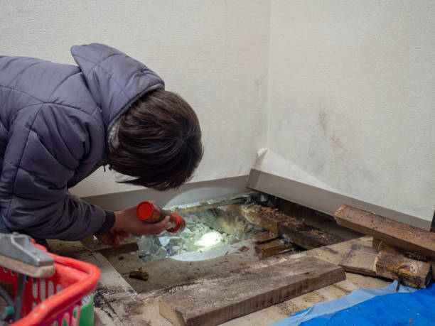Best Industrial Mold Remediation  in Bradley Beach, NJ