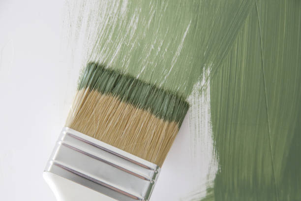Best Mold Documentation for Insurance Claims  in Bradley Beach, NJ