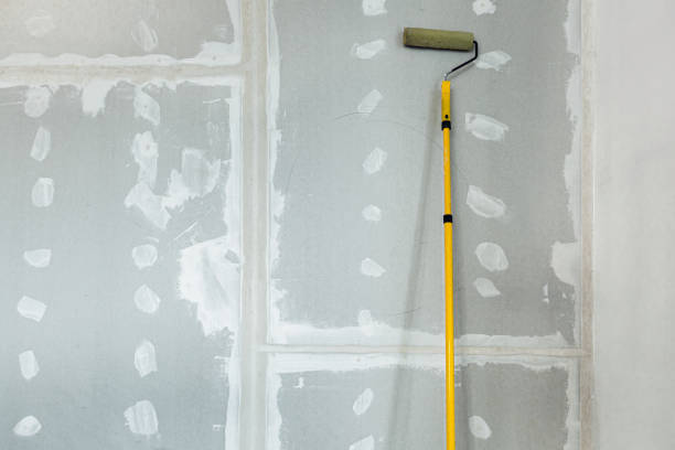 Best Airborne Mold Testing  in Bradley Beach, NJ