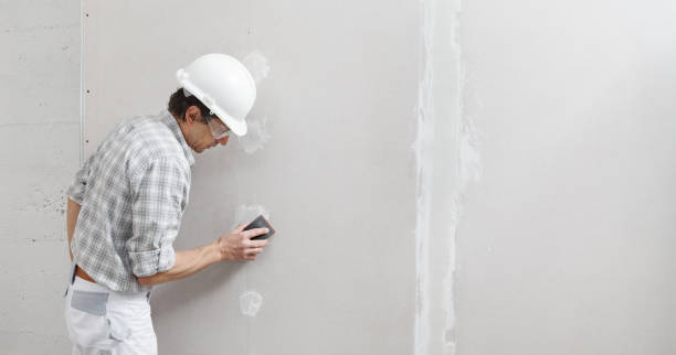 Best Biohazard Mold Removal  in Bradley Beach, NJ