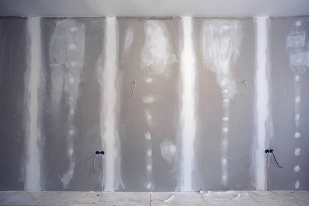 Best Post-Construction Mold Inspection  in Bradley Beach, NJ